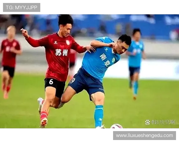 南京足球队实力对比深度解析与未来发展展望 南京足球队实力对比深度解析与未来发展展望