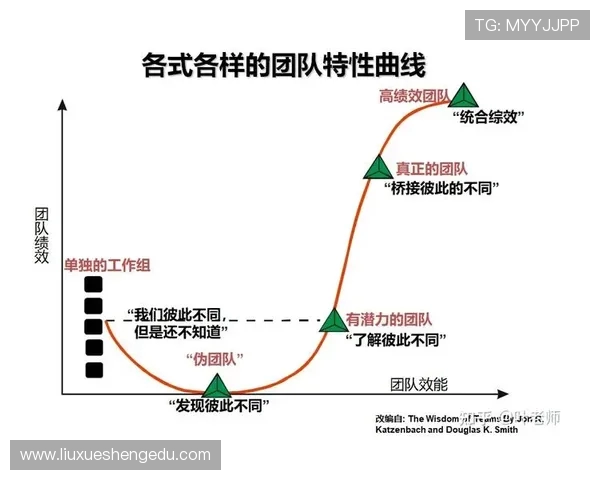 广州排球队在杯赛中的灵活战术与团队协作表现分析 广州排球队在杯赛中的灵活战术与团队协作表现分析