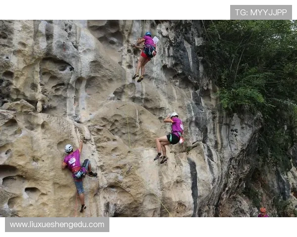 成都攀岩队在极限运动嘉年华中的精彩表现与技术分析