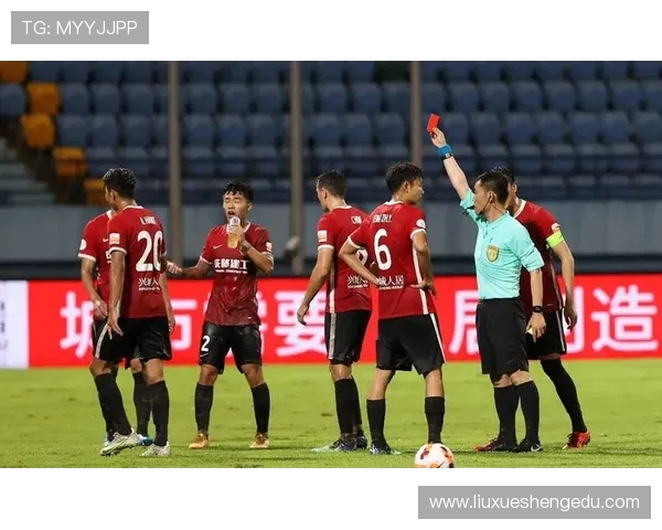 成都排球队战术引发热议球迷与专家的不同声音分析