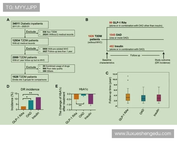 数据分析揭示V5战队实力表现的背后秘密与未来潜力