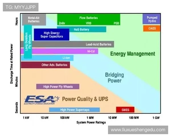 杭州乒乓球队技术表现数据分析揭示训练效果与比赛策略的关系 杭州乒乓球队技术表现数据分析揭示训练效果与比赛策略的关系