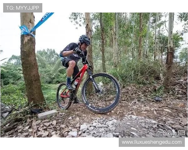 极限运动战术解析西安极限运动队的防反体系与实战应用探讨 极限运动战术解析西安极限运动队的防反体系与实战应用探讨