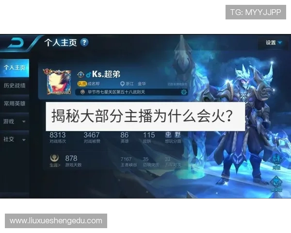 聚焦王者荣耀IG战队比赛经验分享与成长之路探讨