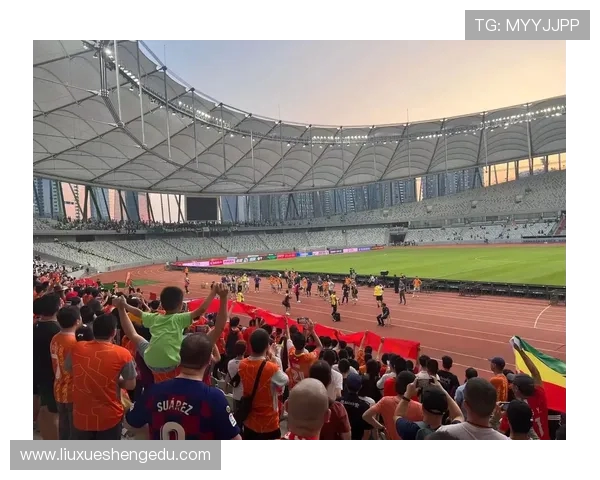 足球专题：聚焦深圳足球队的状态