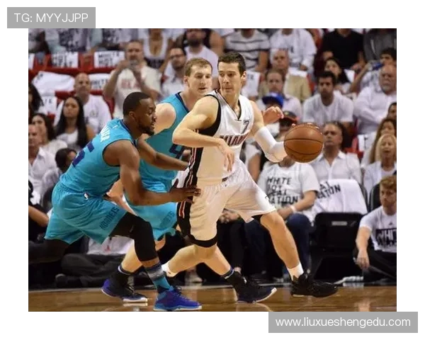 2004年NBA季后赛热火对阵黄蜂精彩录像回顾与分析