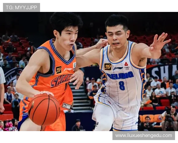 CBA辽宁对阵上海精彩视频回顾与赛后分析让你不再错过每一个瞬间