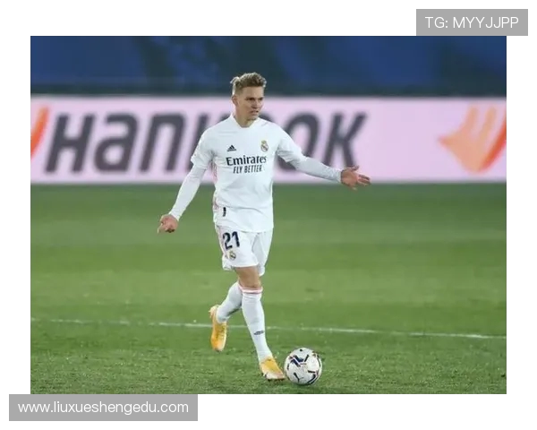 厄德高：从足球天才到战术大师的华丽转身与未来展望