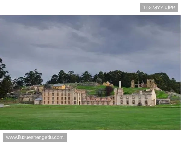 墨尔本骑士与墨尔本港鲨鱼的激烈对决揭开新赛季序幕