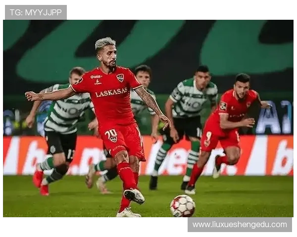 惠灵顿凤凰与墨尔本胜利比赛前瞻分析及胜负预测 惠灵顿凤凰与墨尔本胜利比赛前瞻分析及胜负预测