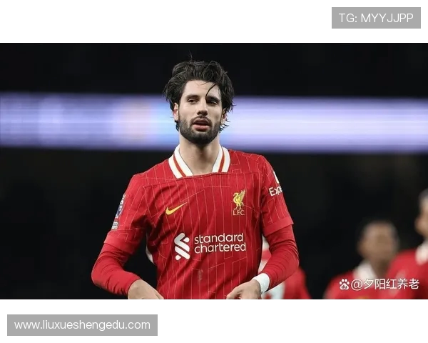 探寻索博斯洛伊的历史与文化魅力，揭开这座城市的神秘面纱