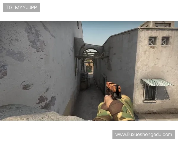 CSGO战术分析：深入探讨TES在阵地战中的策略与执行