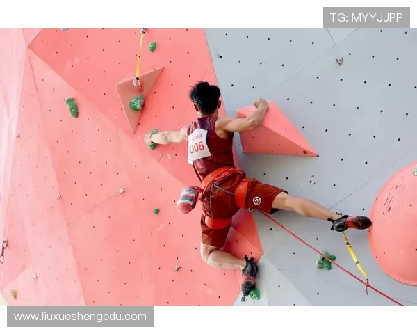 上海攀岩队在全国攀岩耐力排行榜中荣获第六名的佳绩展示实力
