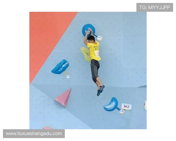 南京攀岩队在全国攀岩状态排行榜中荣获第九名的佳绩引发关注 南京攀岩队在全国攀岩状态排行榜中荣获第九名的佳绩引发关注